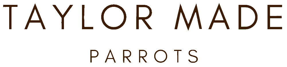 Taylor Made Parrots